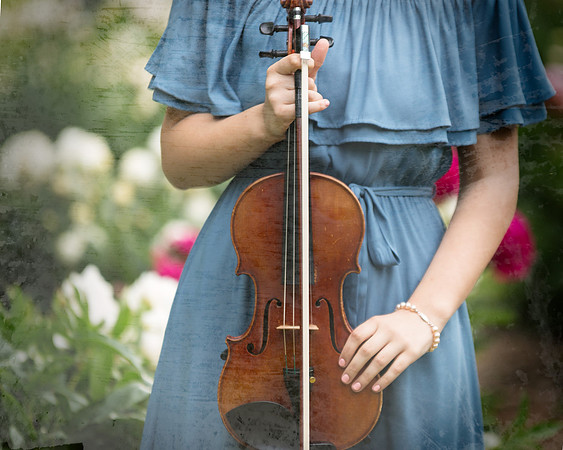 senior pictures violin