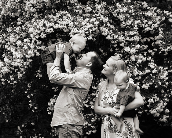 family with twins