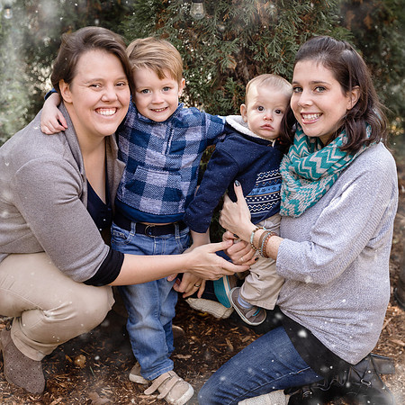 tree farm family photo